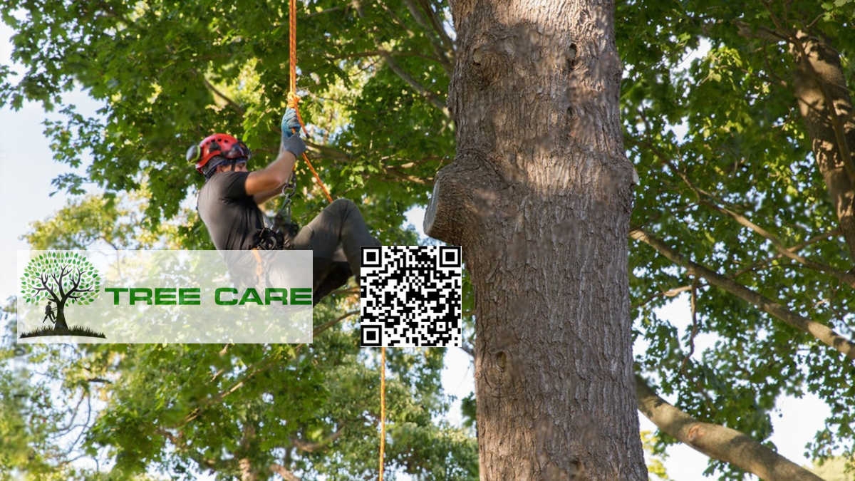 Arborist Palmerston North by LandscapingHQ - Tree Service, Palmerston North