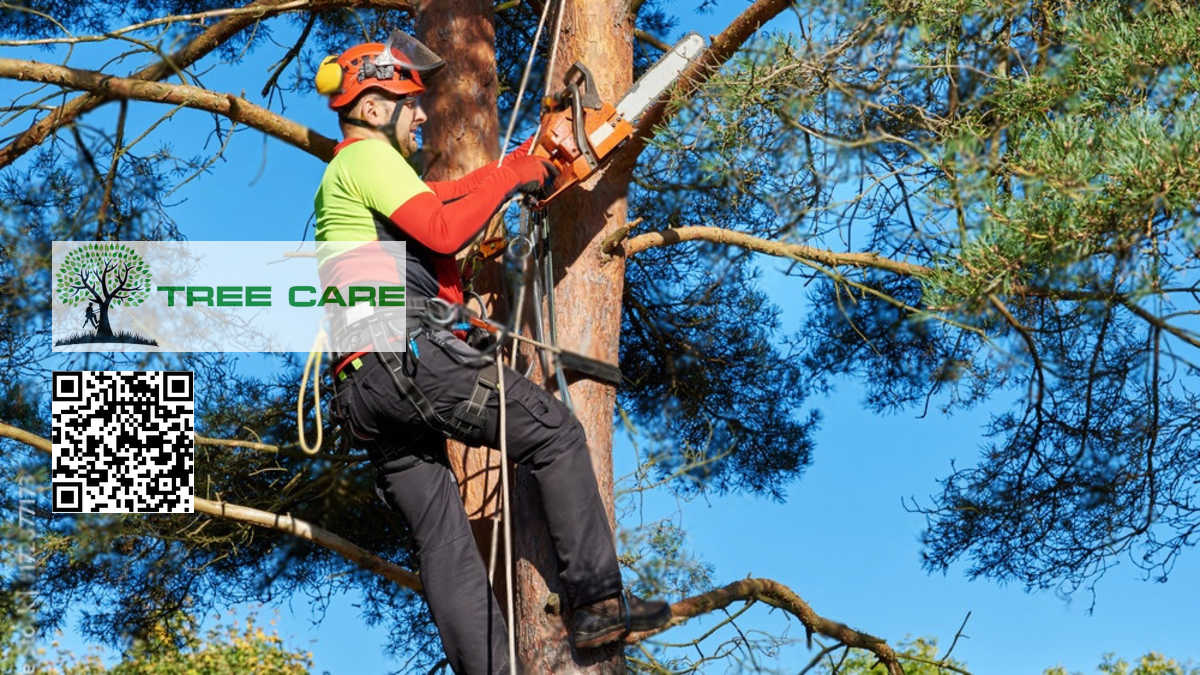 Arborist Consulting Palmerston North