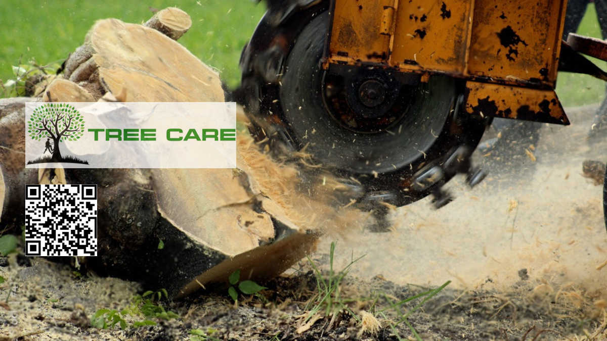 Stump Grinding Auckland