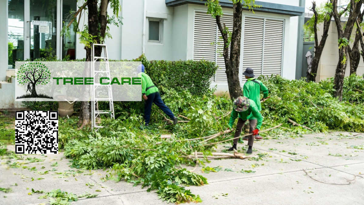 Hedge Trimming Auckland