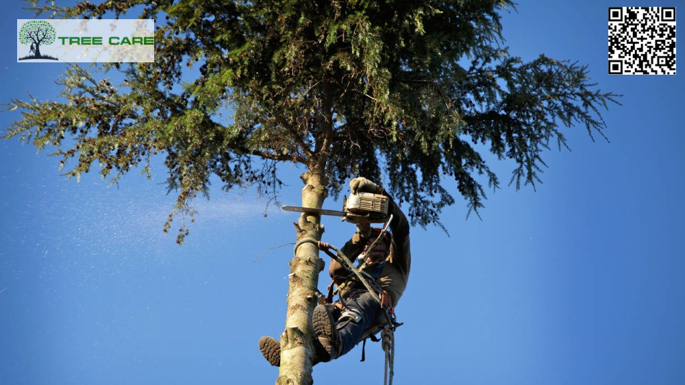 Tree Surgeon