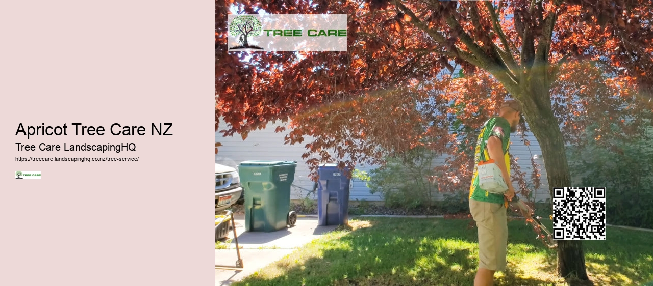 Tree Doctor Wellington