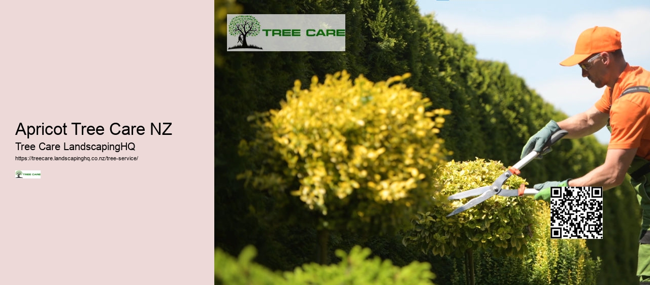 Apricot Tree Care NZ