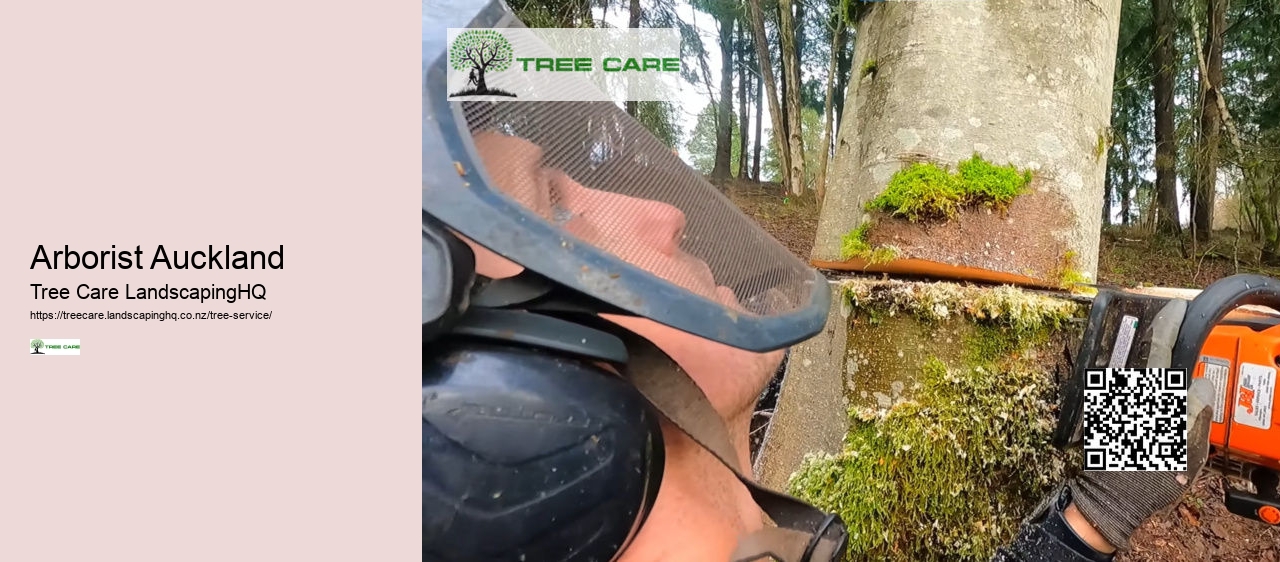 Tree Trimming Palmerston North