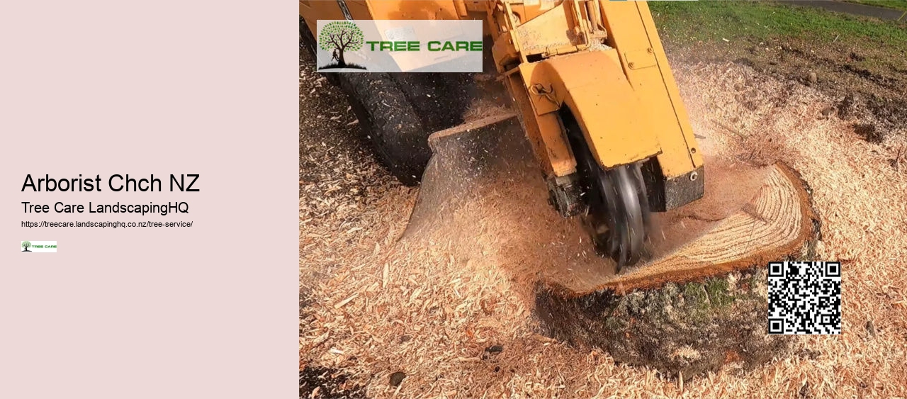 Tree Removal Waikato