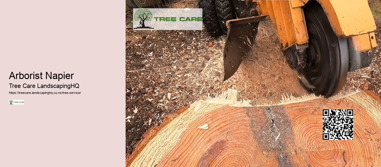 Lime Tree Care NZ