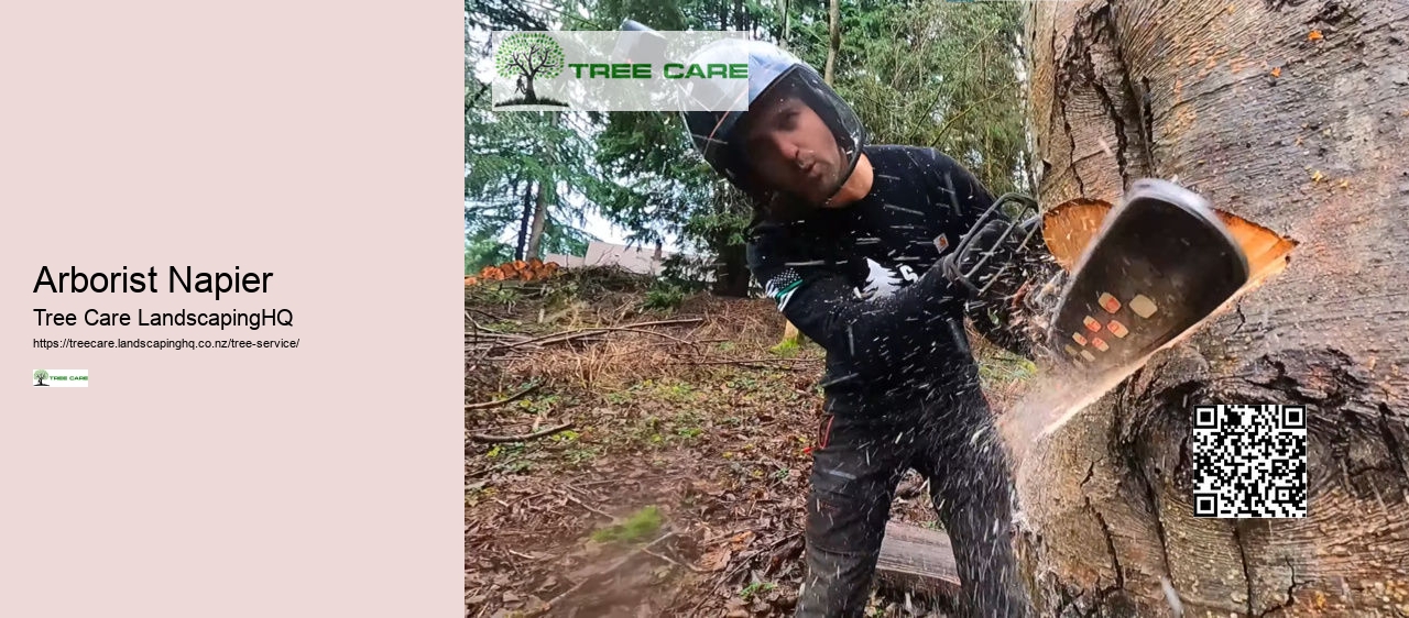 Arborist Tauranga