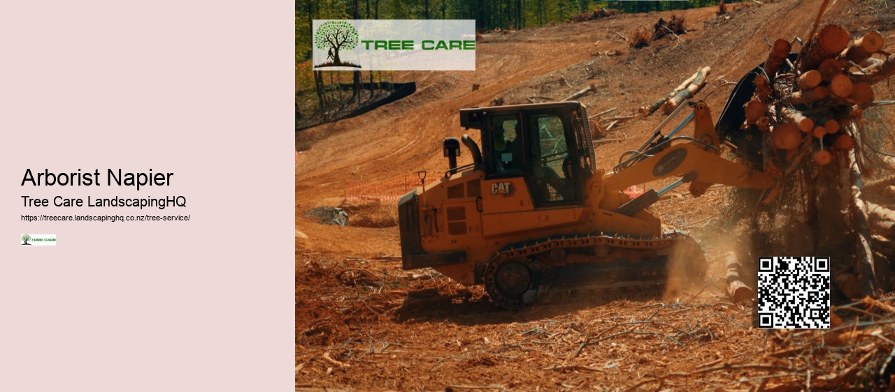 Arborist Tauranga