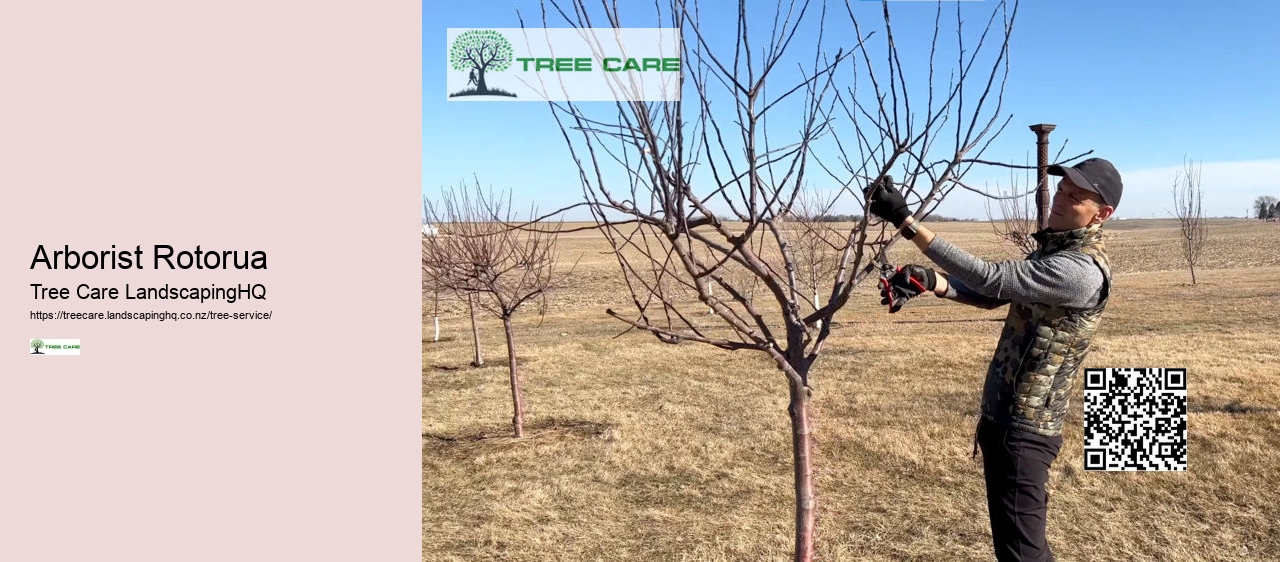Stump Grinding Napier