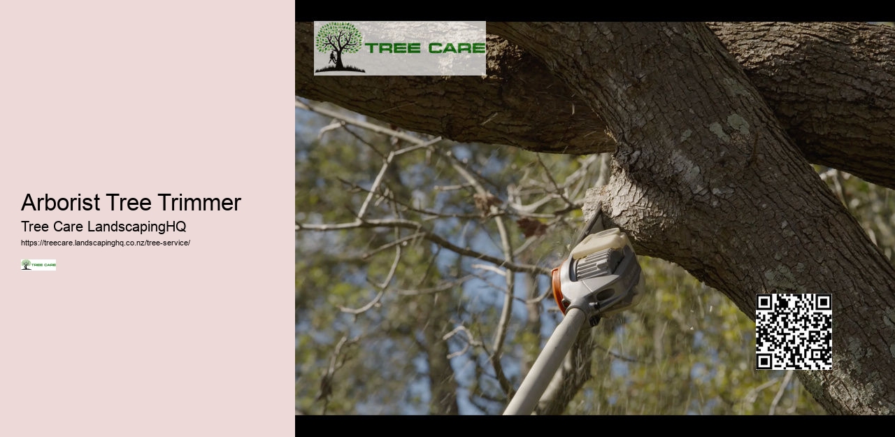 Tree Trimming Tauranga