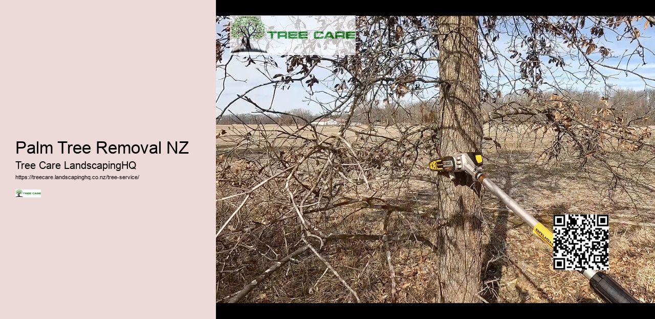 Stump Grinder Hamilton NZ