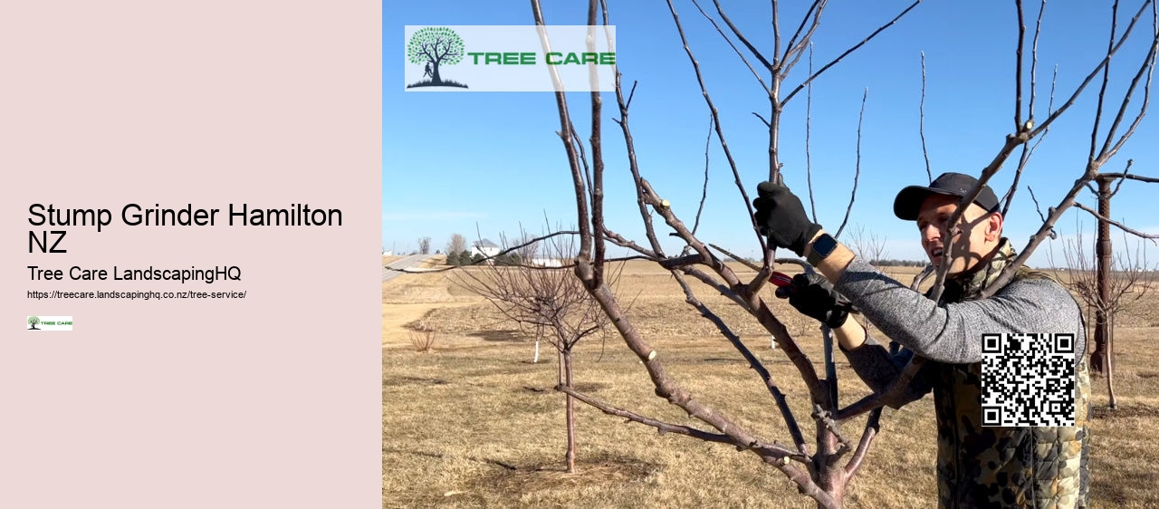Arborist Nelson NZ