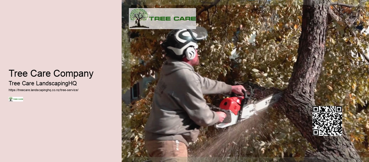 Stump Grinding NZ
