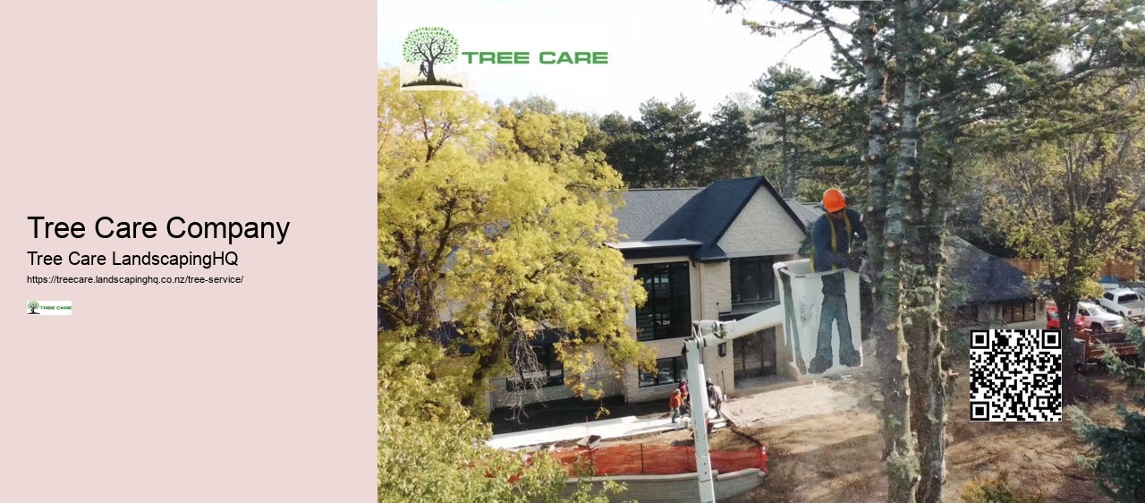 Arborist Queenstown