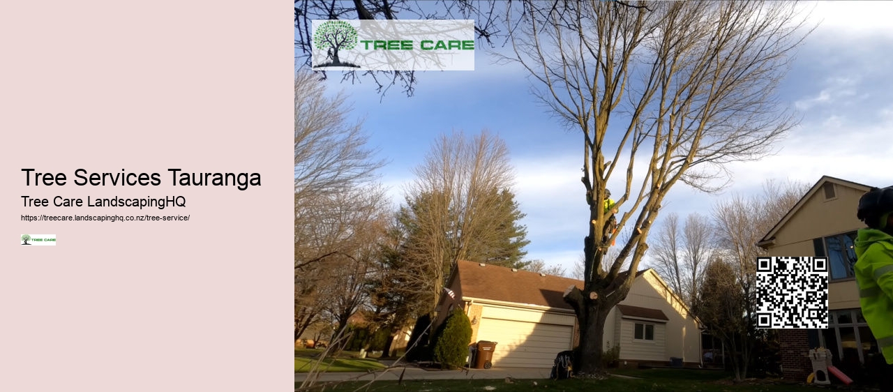 Tree Services Tauranga