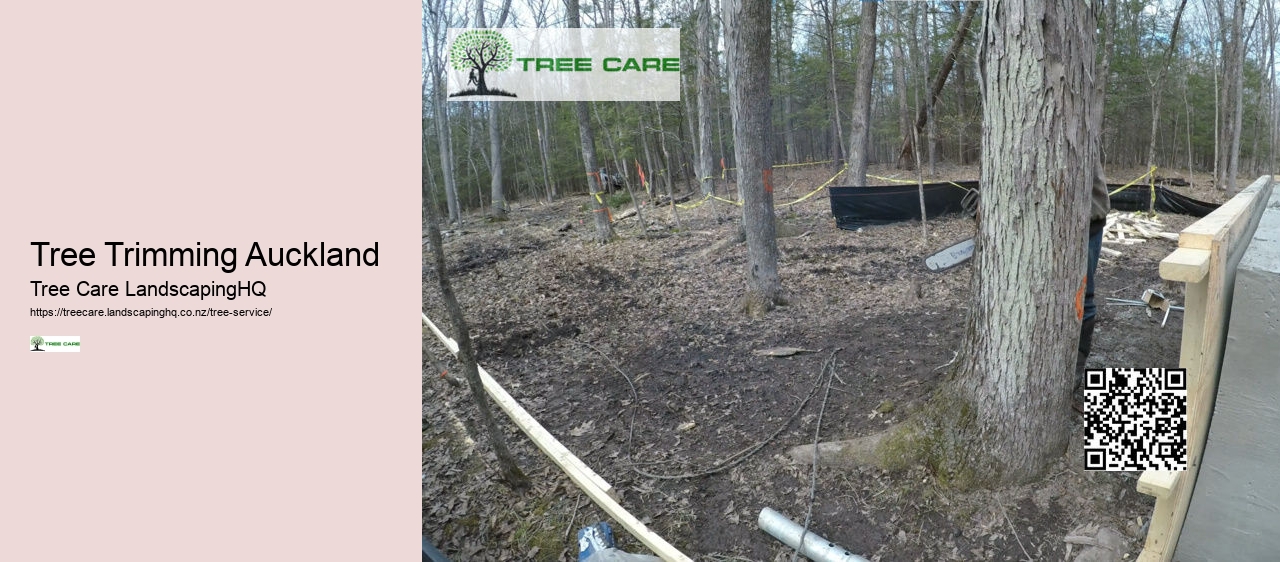 Tree Services Wellington