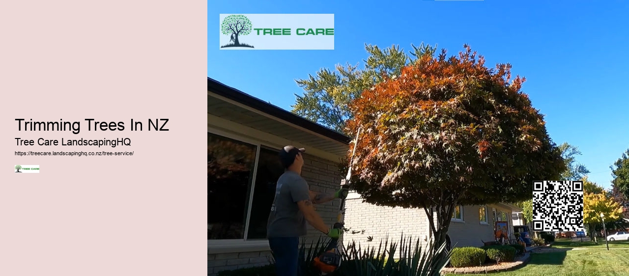 Tree Trimming Porirua