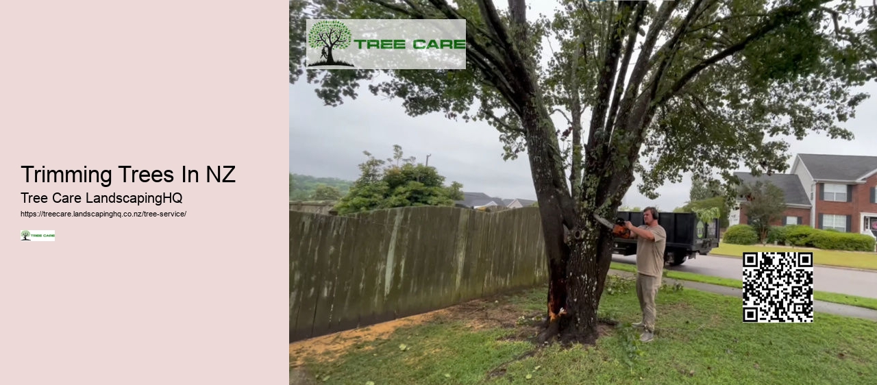 Arborist For Tree Removal